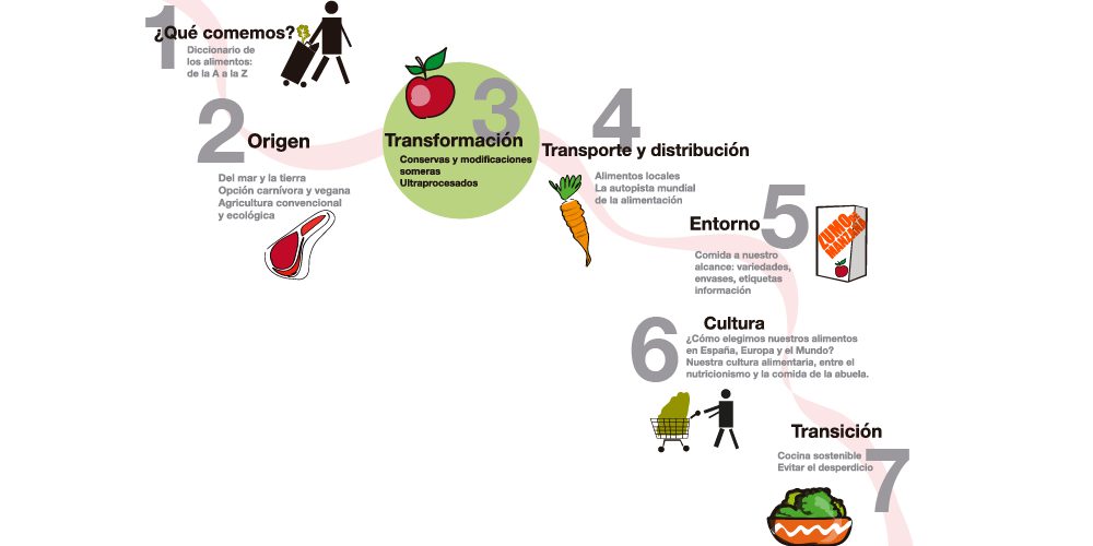Cómo se transforman nuestros alimentos