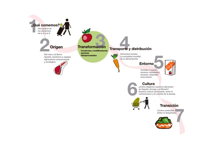 Cómo se transforman nuestros alimentos