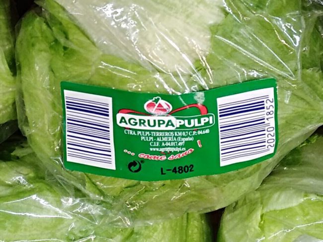 Lechugas origen Almería