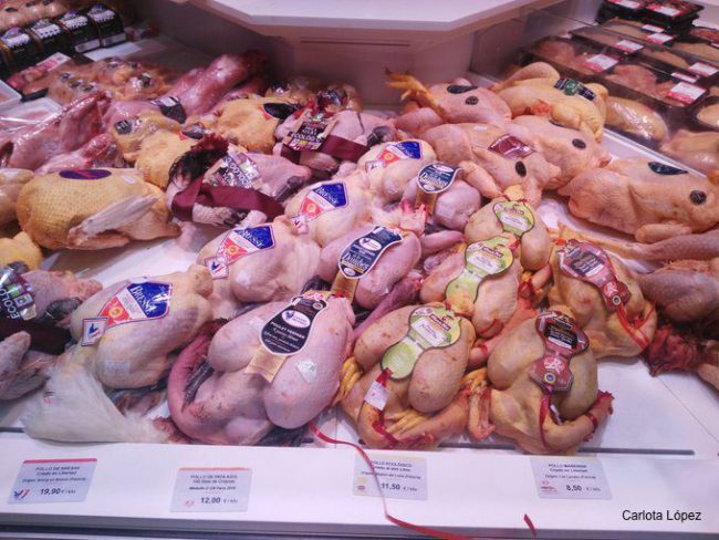Pollos