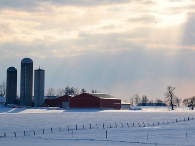 Paisaje canadiense