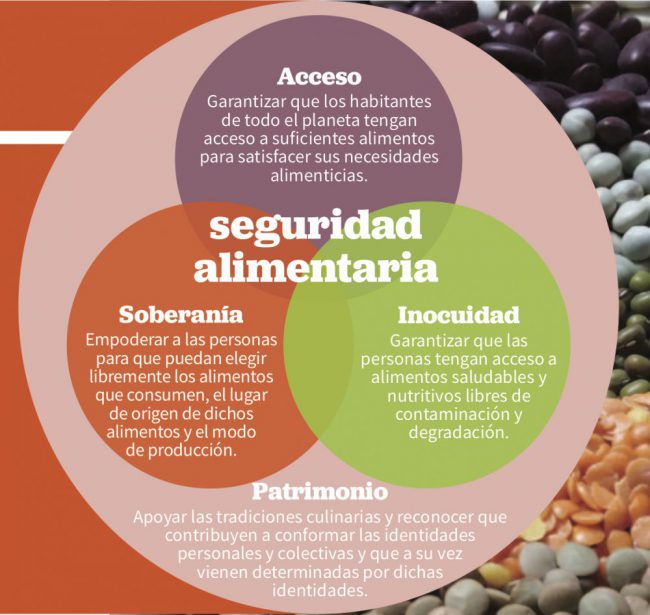 BigPicnic: Seguridad alimentaria BigPicnic