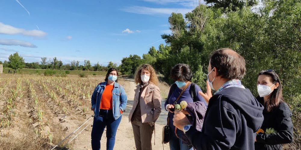 Recorriendo Finca Monjarama Finca Monjarama