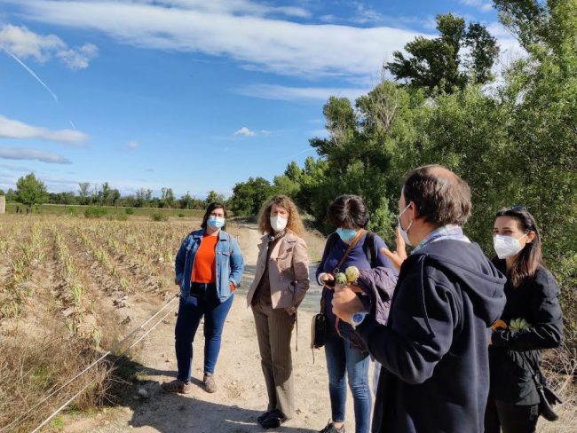 Recorriendo Finca Monjarama Finca Monjarama