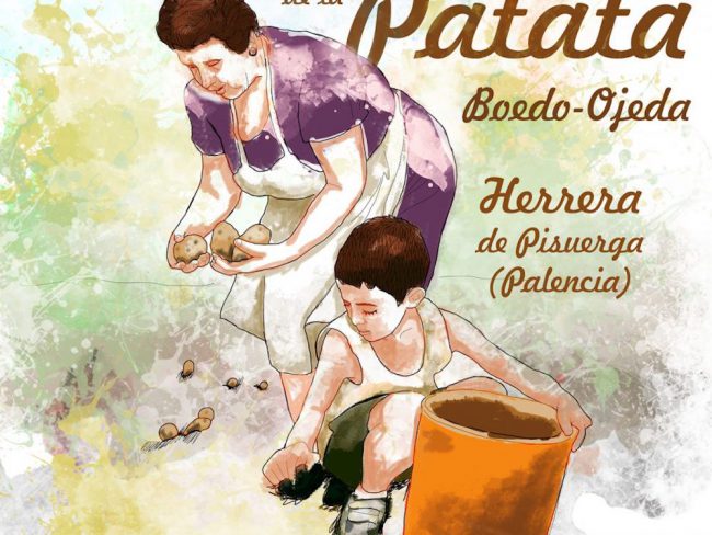 Cartel de la Feria y Exaltación de la Patata de la Mancomunidad de Boedo-Ojeda