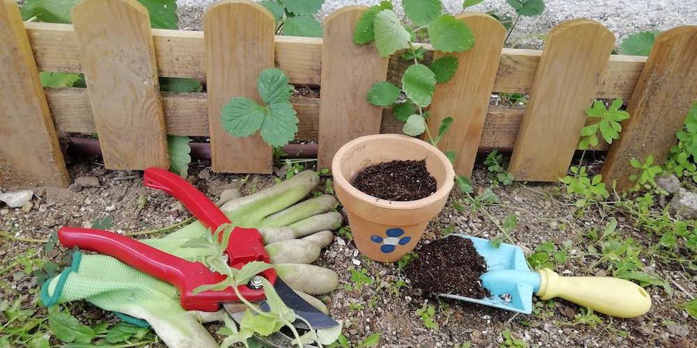 Herramientas para el huerto