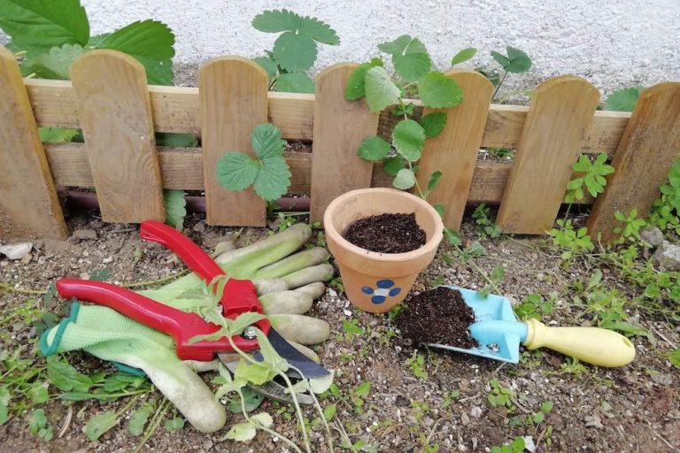 Herramientas para el huerto