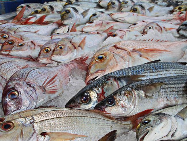 Pescado