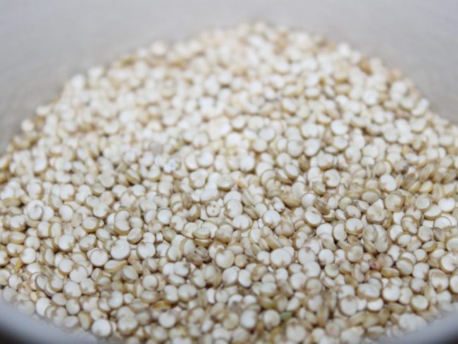Quinoa Quinoa