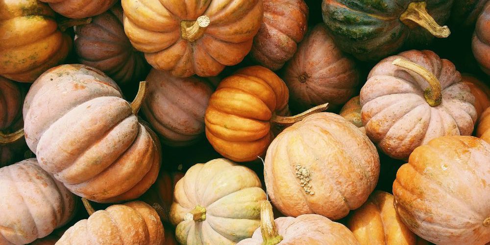 La aterradora verdad detrás de las calabazas La aterradora verdad detrás de las calabazas