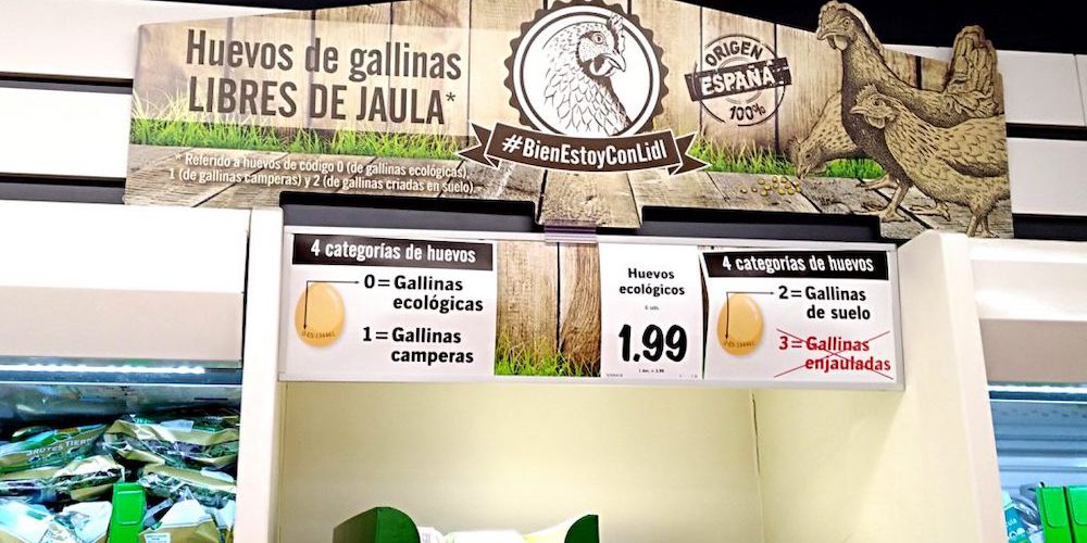 Stand de huevos en Lidl Categorías de huevos