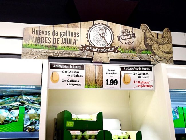 Stand de huevos en Lidl Categorías de huevos