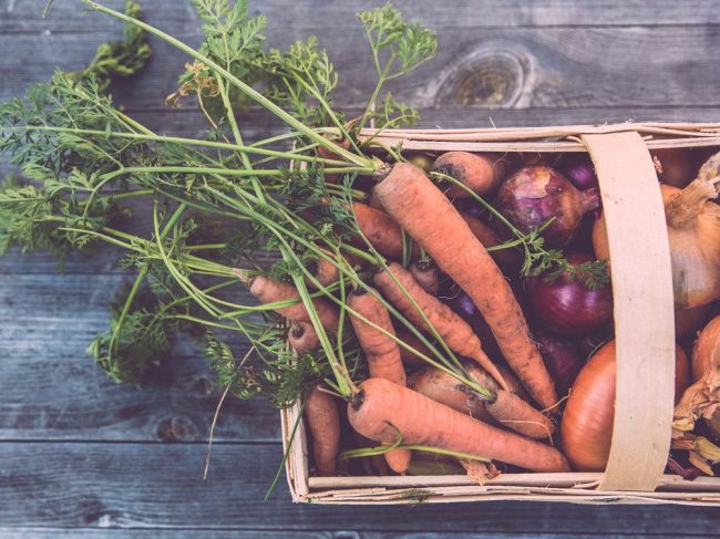 Zanahorias Zanahorias