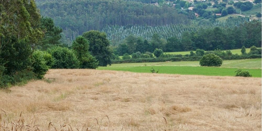 Paisaje Mariñas Coruñesas