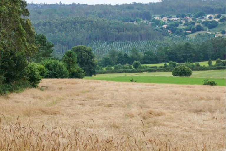 Paisaje Mariñas Coruñesas