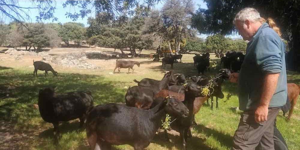 En Madrid, cada plato es un paisaje: ruta agroturística a Suerte Ampanera Semana de la Proximidad en Madrid