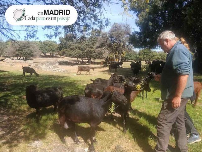 En Madrid, cada plato es un paisaje: ruta agroturística a Suerte Ampanera Semana de la Proximidad en Madrid