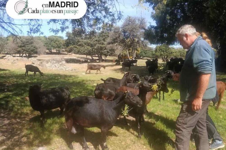 Semana de la Proximidad en Madrid