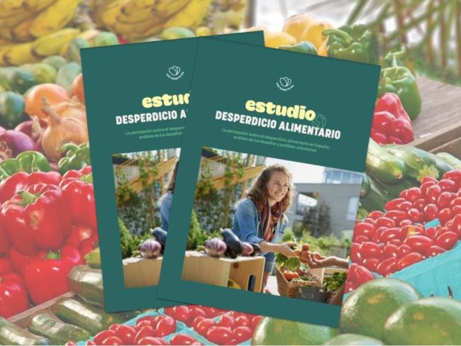Estudio desperdicio alimentario Too Good To Go Portada del estudio Desperdicio Alimentario. La percepción sobre el desperdicio alimentario en España: análisis de los desafíos y posibles soluciones, realizado por Too Good To Go