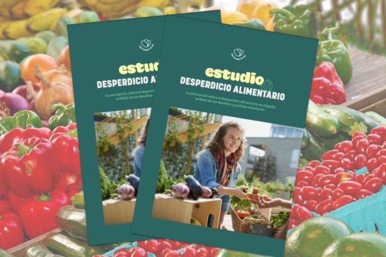 Portada del estudio Desperdicio Alimentario. La percepción sobre el desperdicio alimentario en España: análisis de los desafíos y posibles soluciones, realizado por Too Good To Go