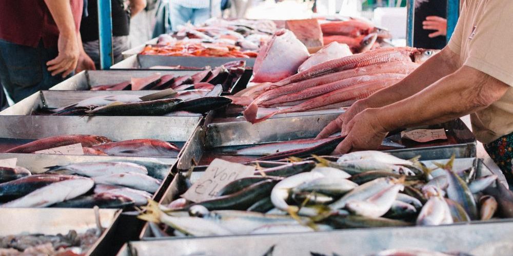 Pescados frescos de temporada
