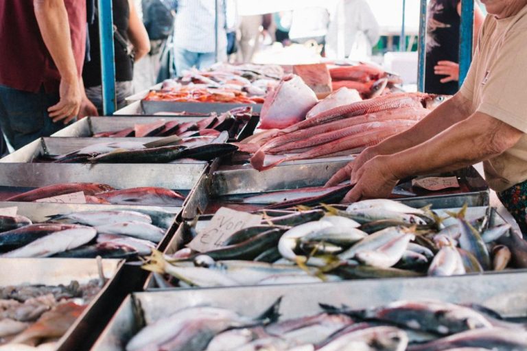 Pescados frescos de temporada