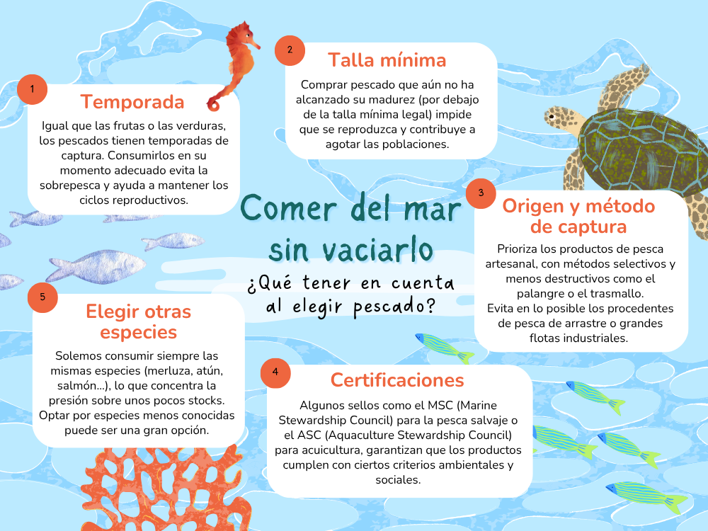 ¿Qué hay que tener en cuenta a la hora de elegir el pescado o marisco?