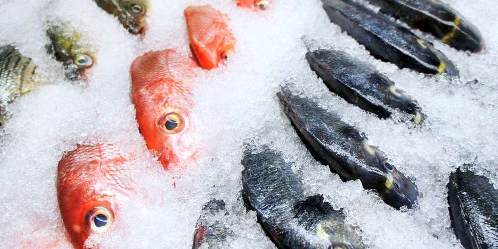 Portada comida critica pescados