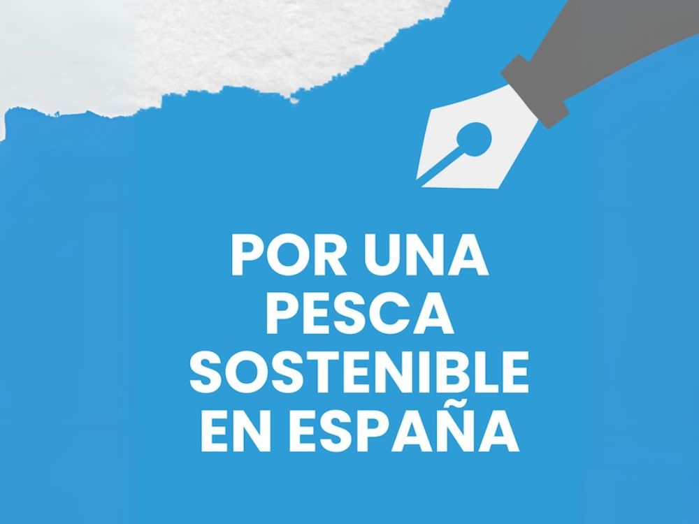 Por una pesca sostenible en España