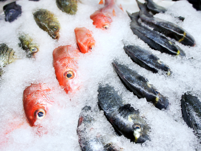 Portada comida critica pescados