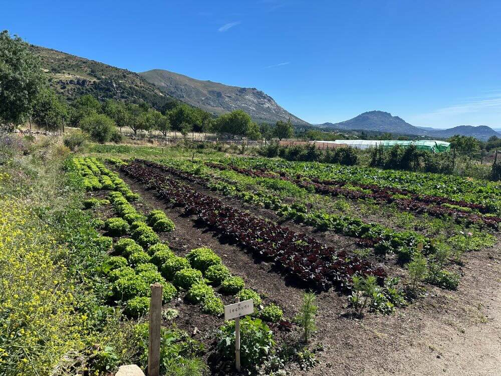 Huerta de Nuestras Huertas