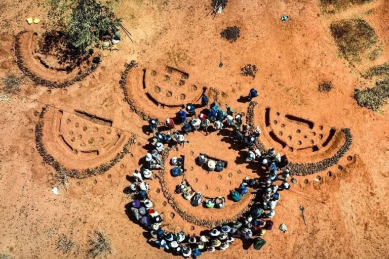 Medias lunas de captación de aguas en el Sahel.